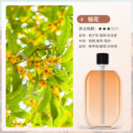 Automatic Aromatherapy Diffuser & Air Freshener - Image 8